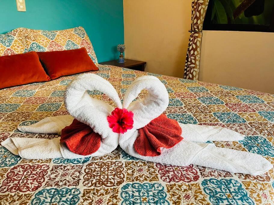 Apartment Tucantico - Monteverde