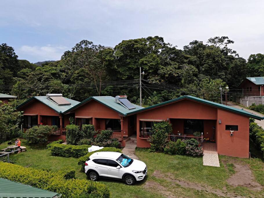 Tucantico - Monteverde
