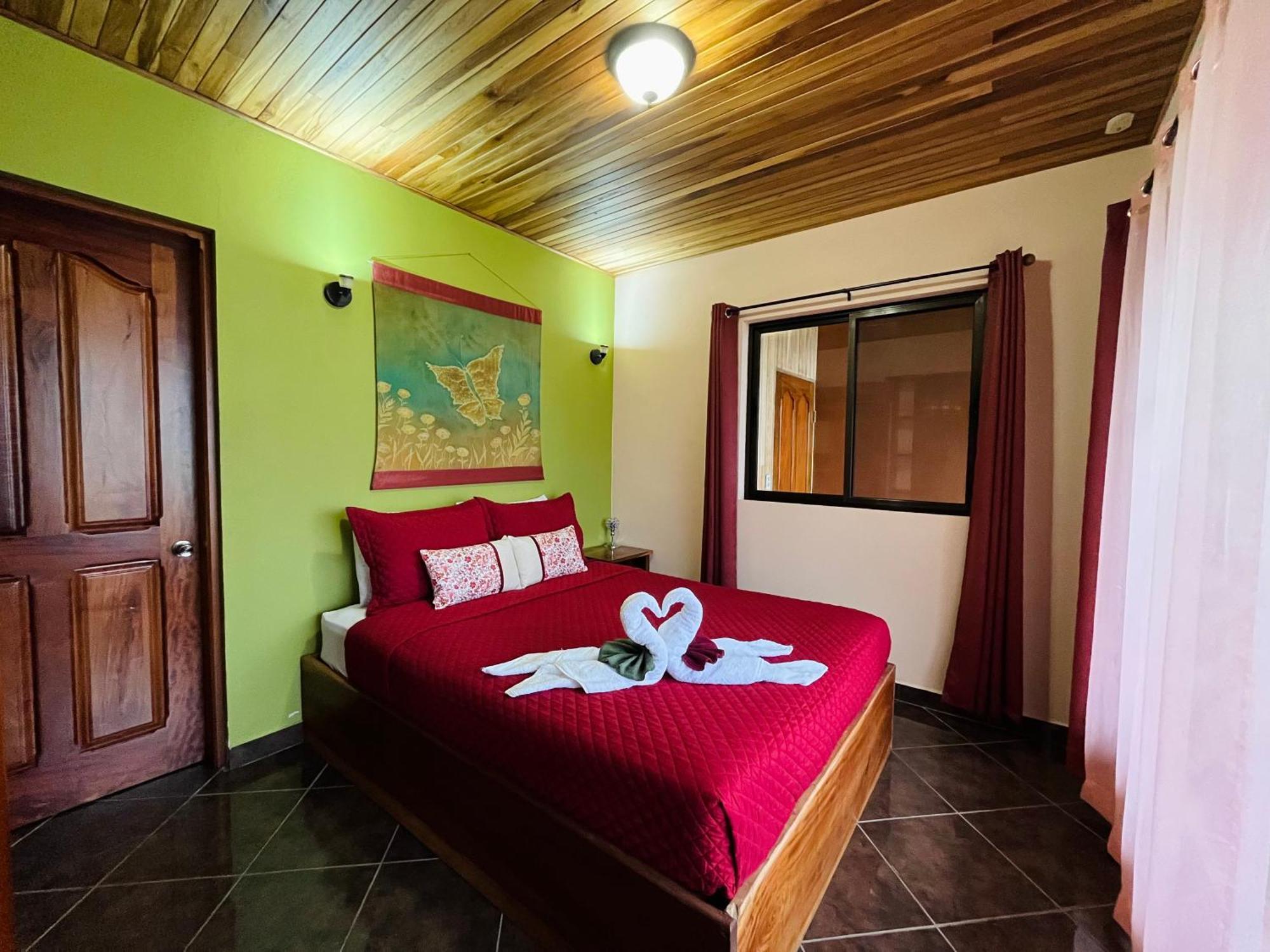 Tucantico - * Monteverde